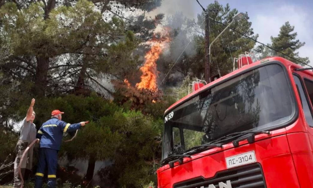 Πυρκαγιά σε δασική έκταση οικισμού της Μάνης - Άνεμοι 6 με 7 μποφόρ